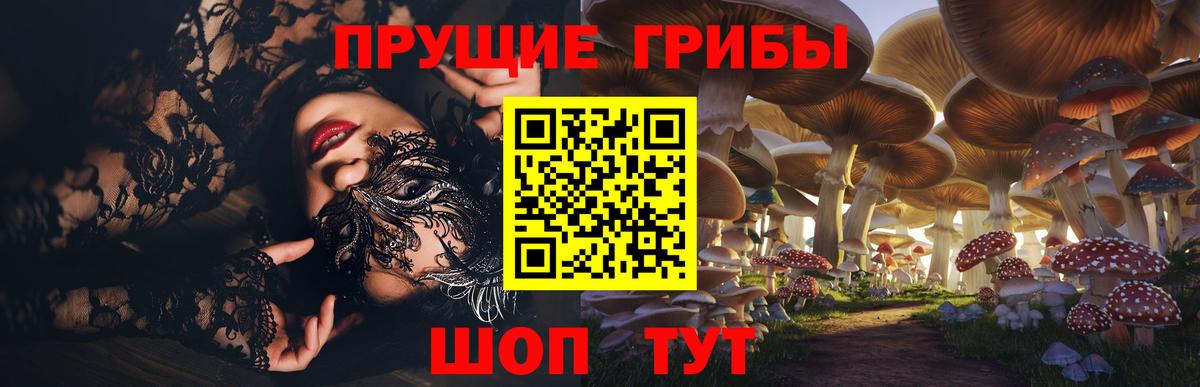 Пугачёв  Галлюциногенные грибы мухоморы  Псилоцибиновые грибы Cubensis  Вход с VPN 